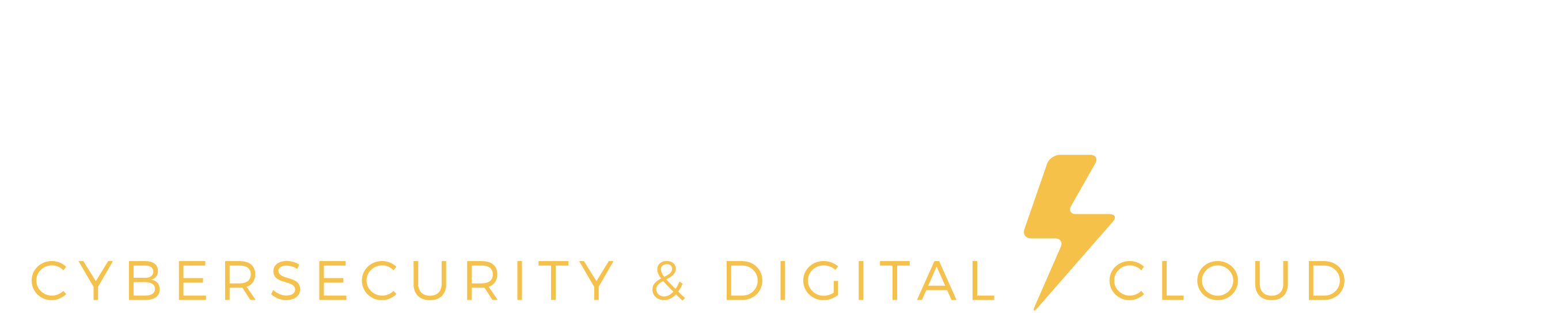 CIBERSTORM